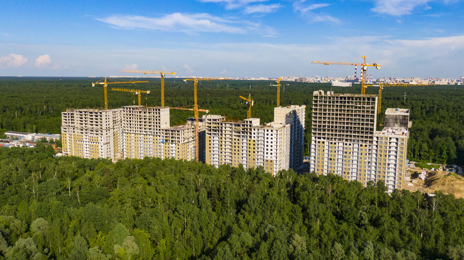 Жк лес москва. ЖК сказочный лес стройка 23.09.2022. Протест комплекс сказочный лес. Лесход.